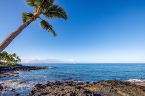A coastal scene with a palm tree, rocky shoreline, and calm sea under a clear sky.
