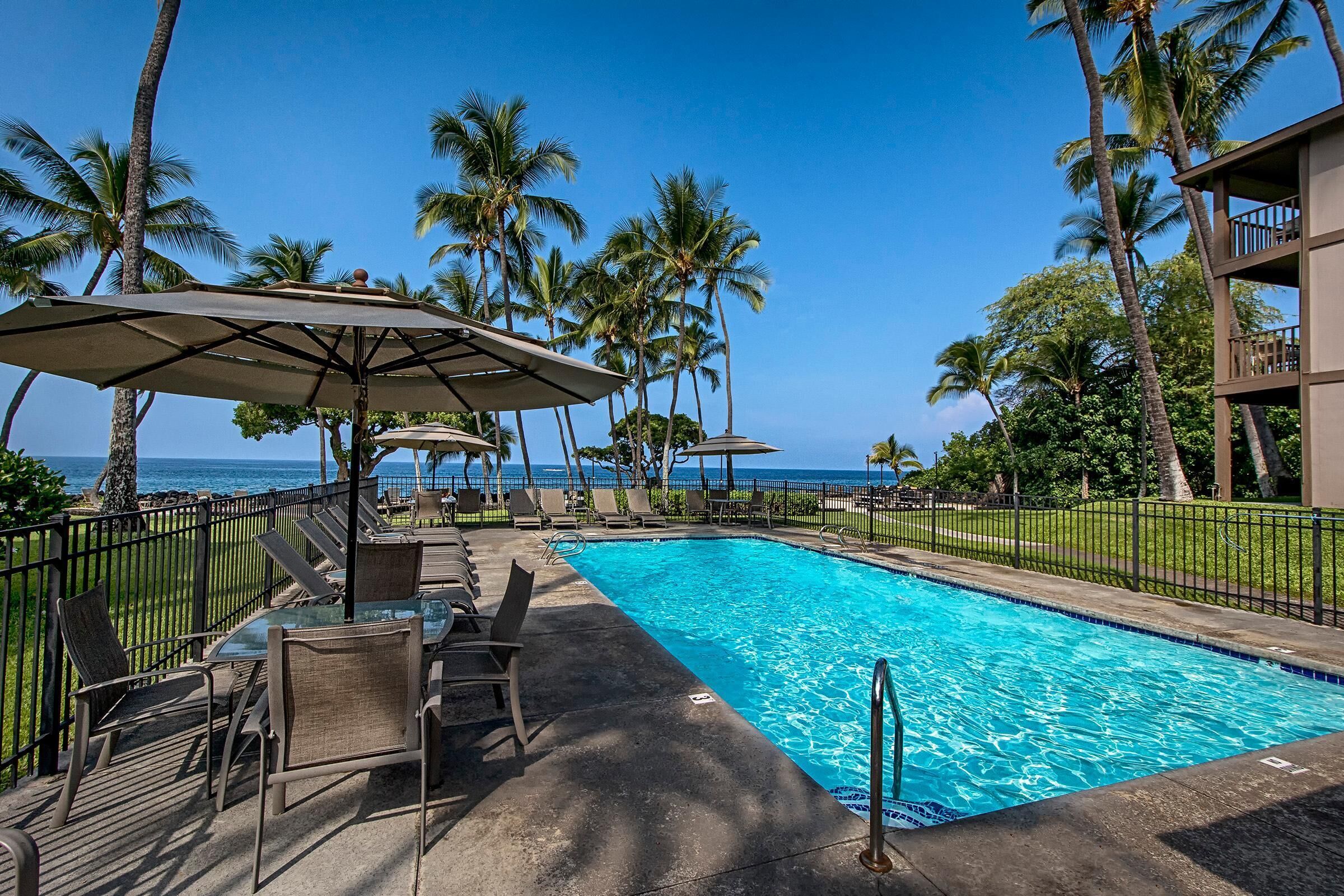 A swimming pool with lounge chairs and umbrellas, surrounded by palm trees and a view of the ocean.