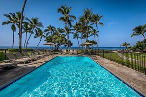 A rectangular swimming pool with clear blue water, surrounded by lounge chairs and umbrellas, with palm trees and a view of the ocean.