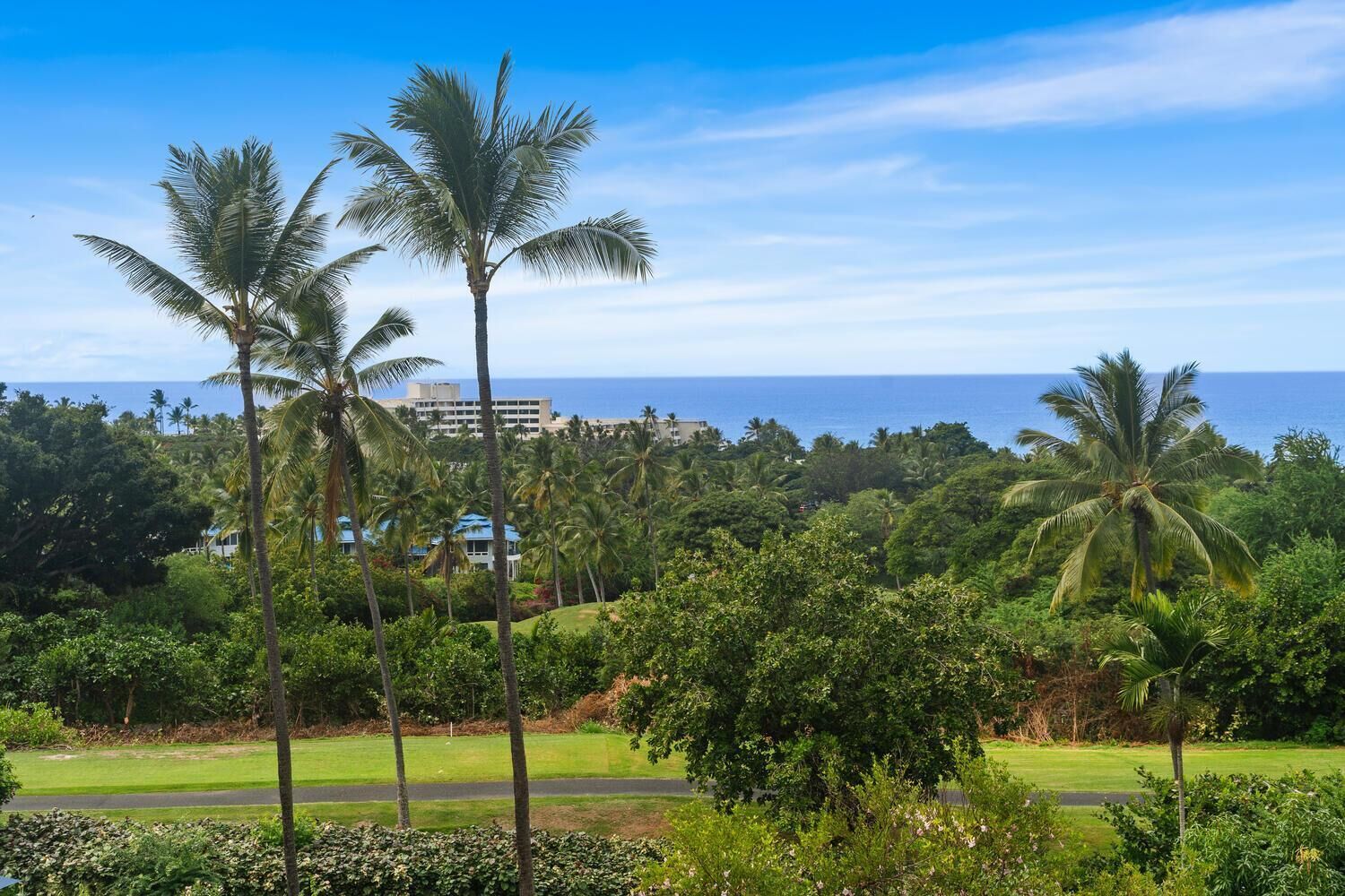 Un paisaje exuberante con palmeras, un campo de golf y vistas al océano y edificios a lo lejos.
