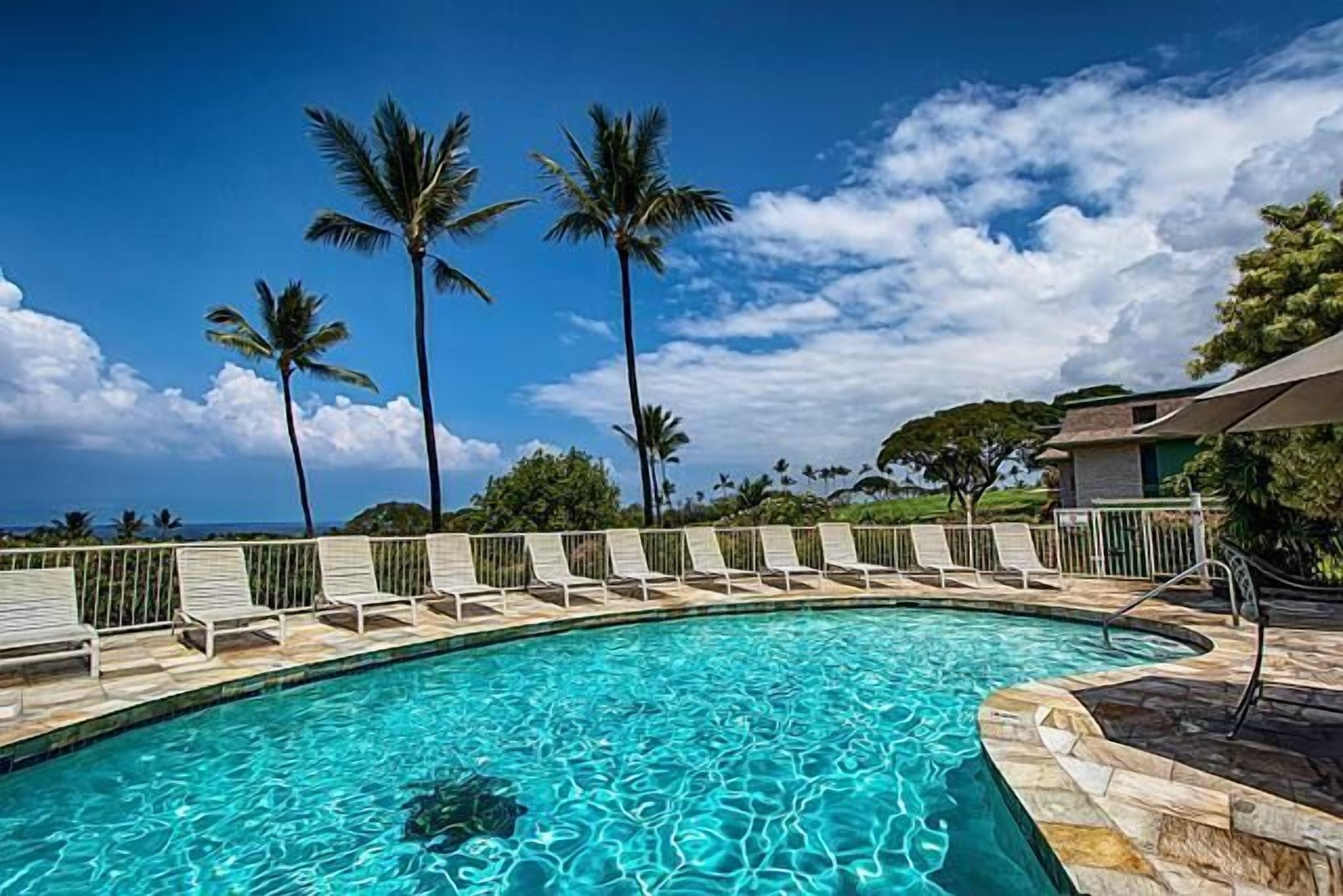 A swimming pool with clear blue water, surrounded by lounge chairs and palm trees.