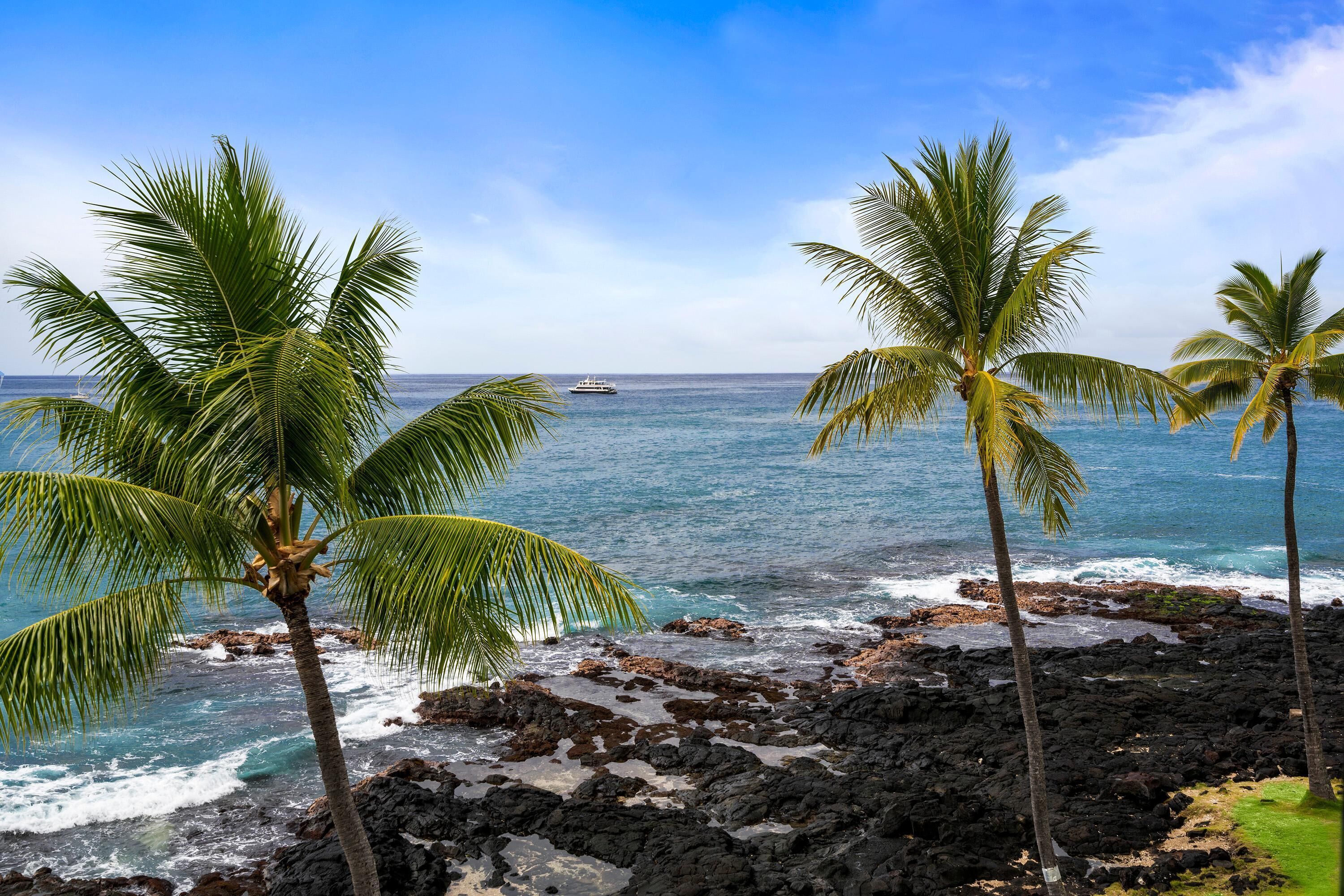 Appart'hôtel, 1 très grand lit et 1 canapé-lit (Kona Reef D32) | Plage