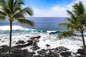 Condo, 1 trÚs grand lit et 1 canapé-lit (Kona Reef D32) | Plage | Sur la plage