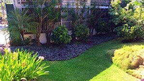 A well-maintained garden with a variety of plants and a curved pathway. - Kalani Kai 105 (Kailua-Kona)