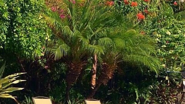 A swimming pool with two lounge chairs and a stone wall. - Kalani Kai 105 (Kailua-Kona)