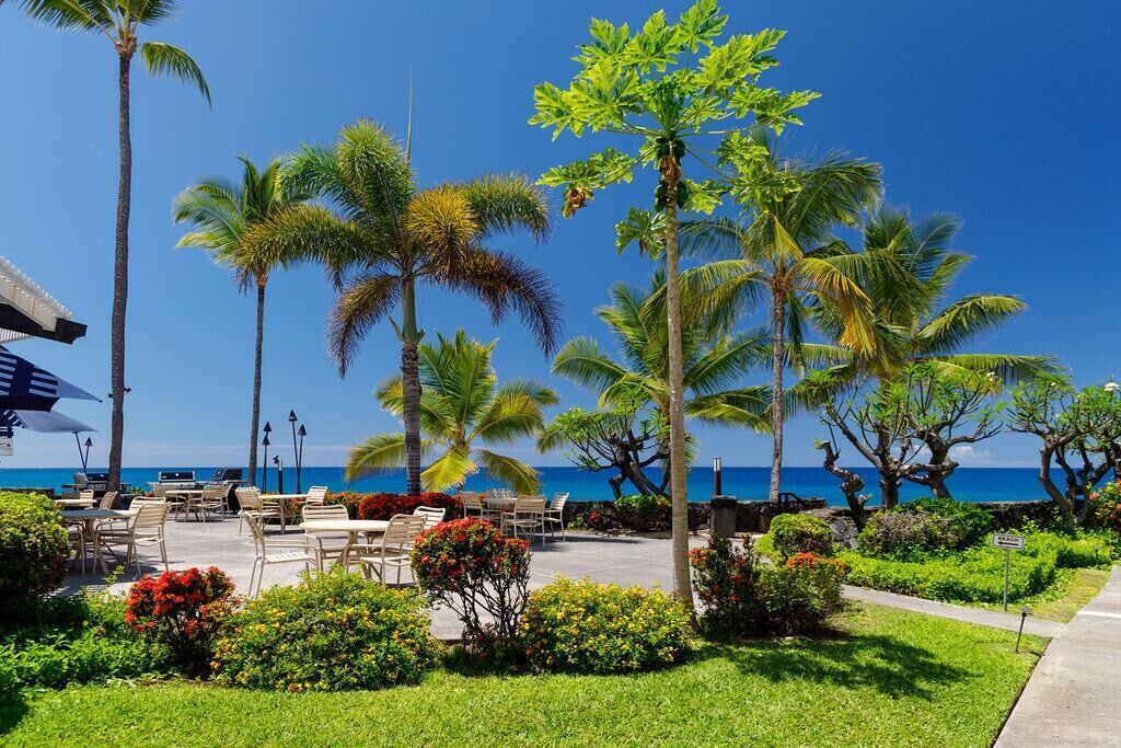 Condo, Multiple Beds (Casa De Emdeko 211) | Property grounds