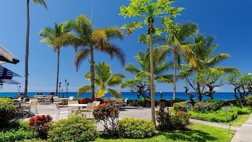 Condo, Multiple Beds (Casa De Emdeko 211) | Property grounds