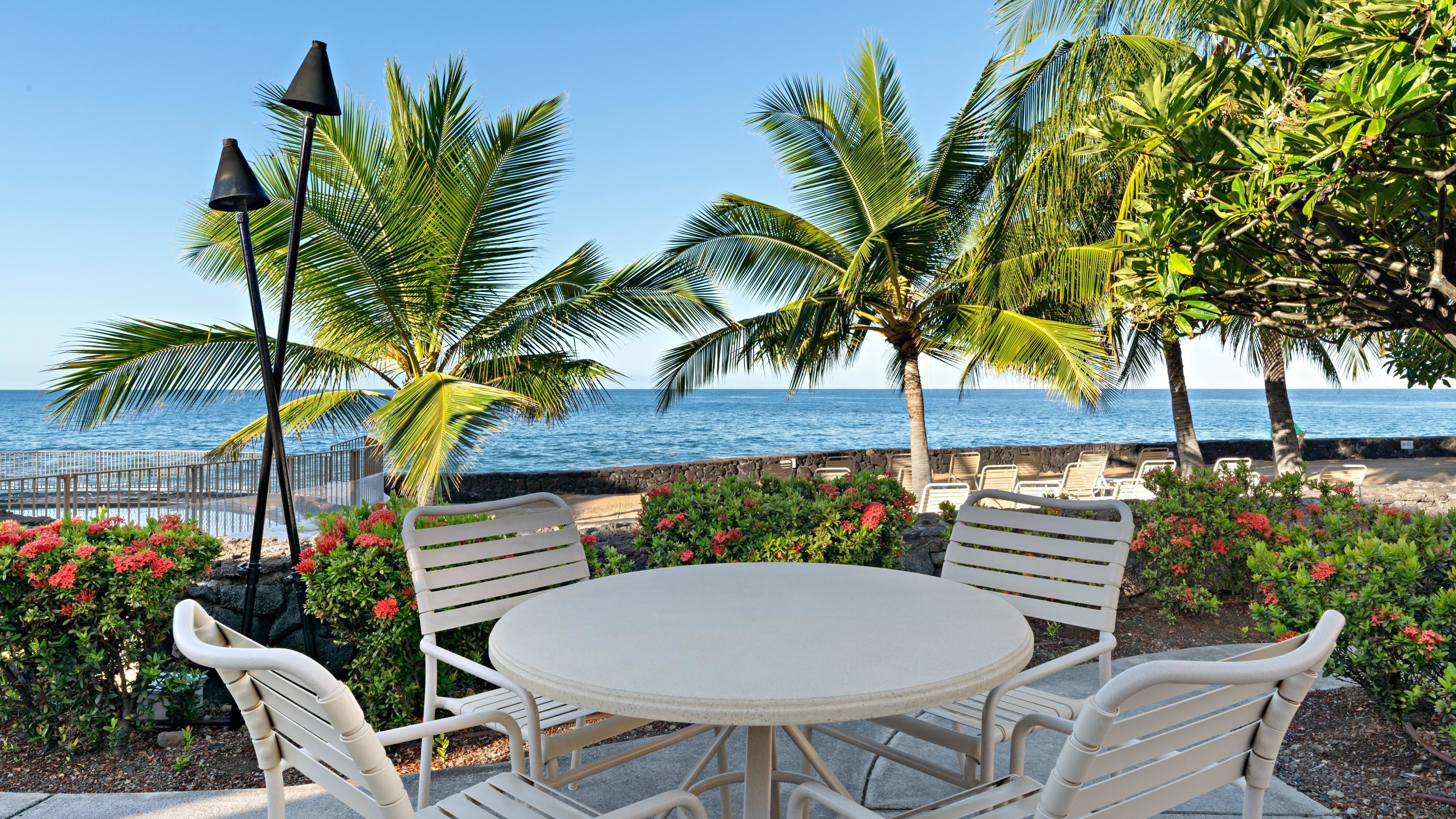 Une terrasse en bord de mer avec une table ronde et des chaises, des palmiers et une vue sur l’océan.