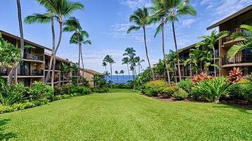 Leilighet, 1 kingsize-seng med sovesofa (Kona Makai 1-301) | Overnattingsstedets uteområder