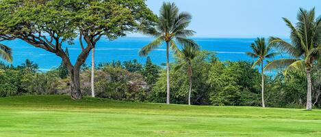 Condo, Multiple Beds (Country Club Villas#115) | Golf