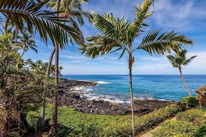 Condo, 1 King Bed, Ocean View (Kona Makai 1-204 Oceanview! AC! Remod) | Beach - Kona Makai 1-204 Oceanview! AC! Remodeled! 2bd/2ba (Kailua-Kona)