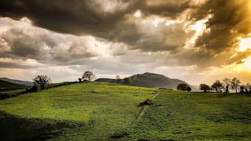 Un campo verde con una colina y una montaña al fondo.