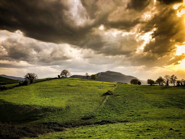 Un campo verde con una colina y una montaña al fondo.