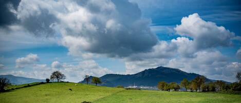 Un campo verde con una colina, árboles y una montaña al fondo.