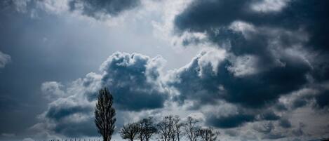 A landscape with a grassy field, a few trees, and a cloudy sky.