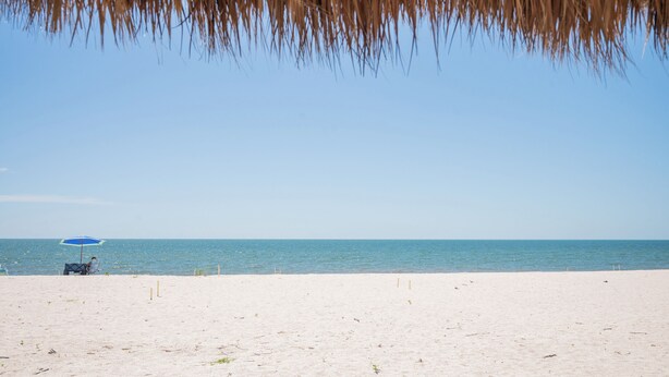 Ein Strand mit blauem Himmel, einer Person unter einem blauen Sonnenschirm und ruhiger See.