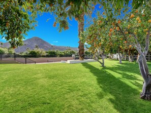 إطلالة الغرفة