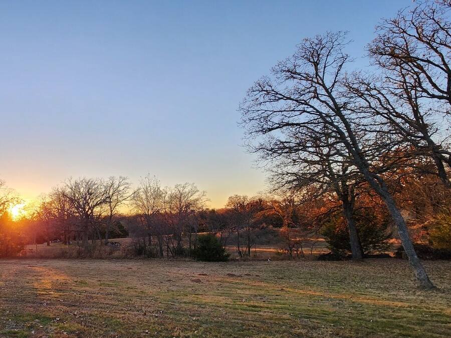 A natural landscape with trees and a sunset.