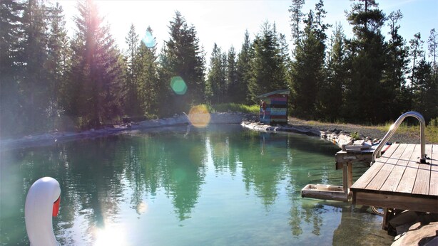 A wooden dock extending into a clear lake surrounded by trees. - Woodhouse Cottages and Ranch (Prince George)