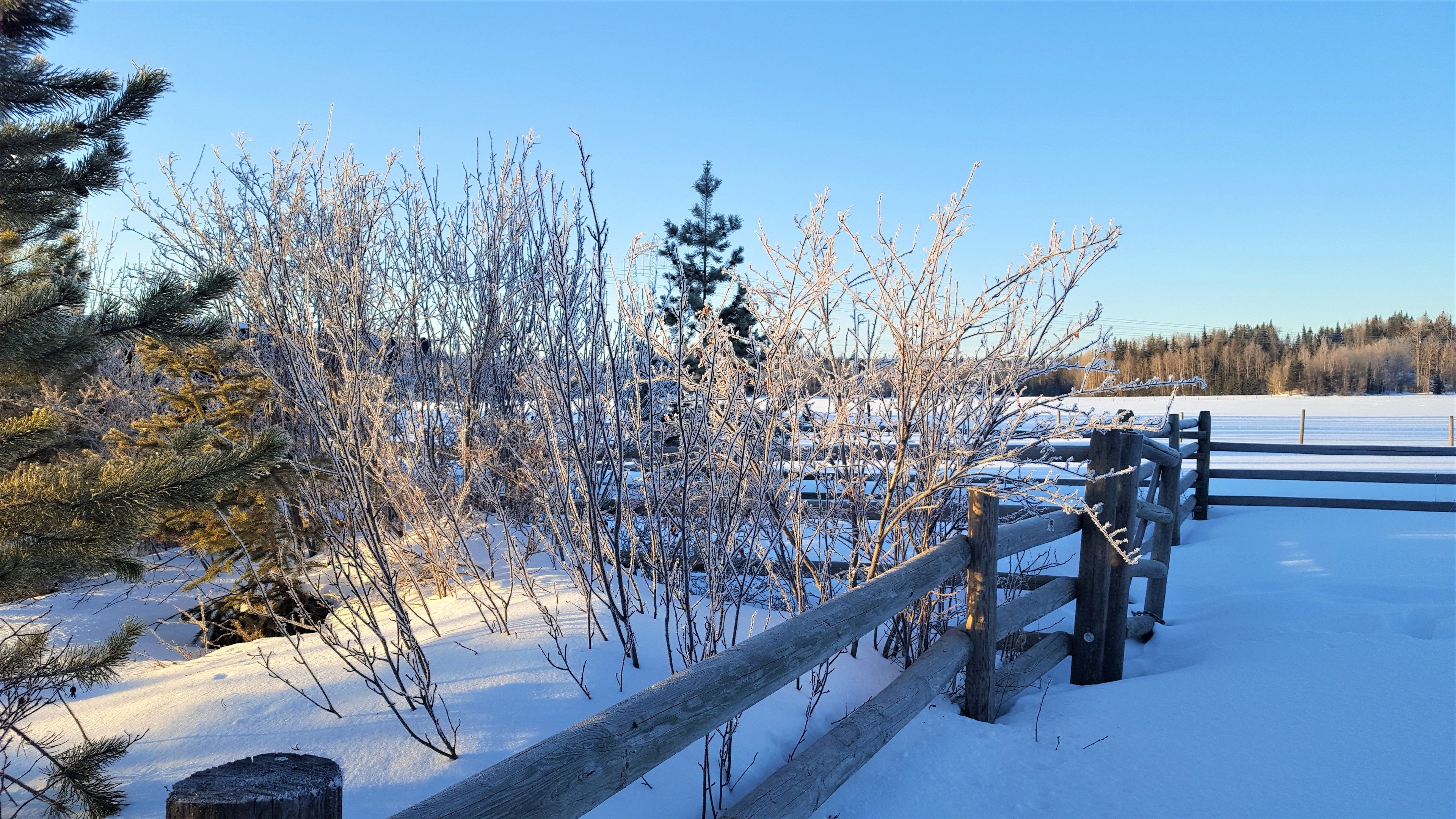 A wooden fence in a snowy landscape with bare trees and a clear sky.