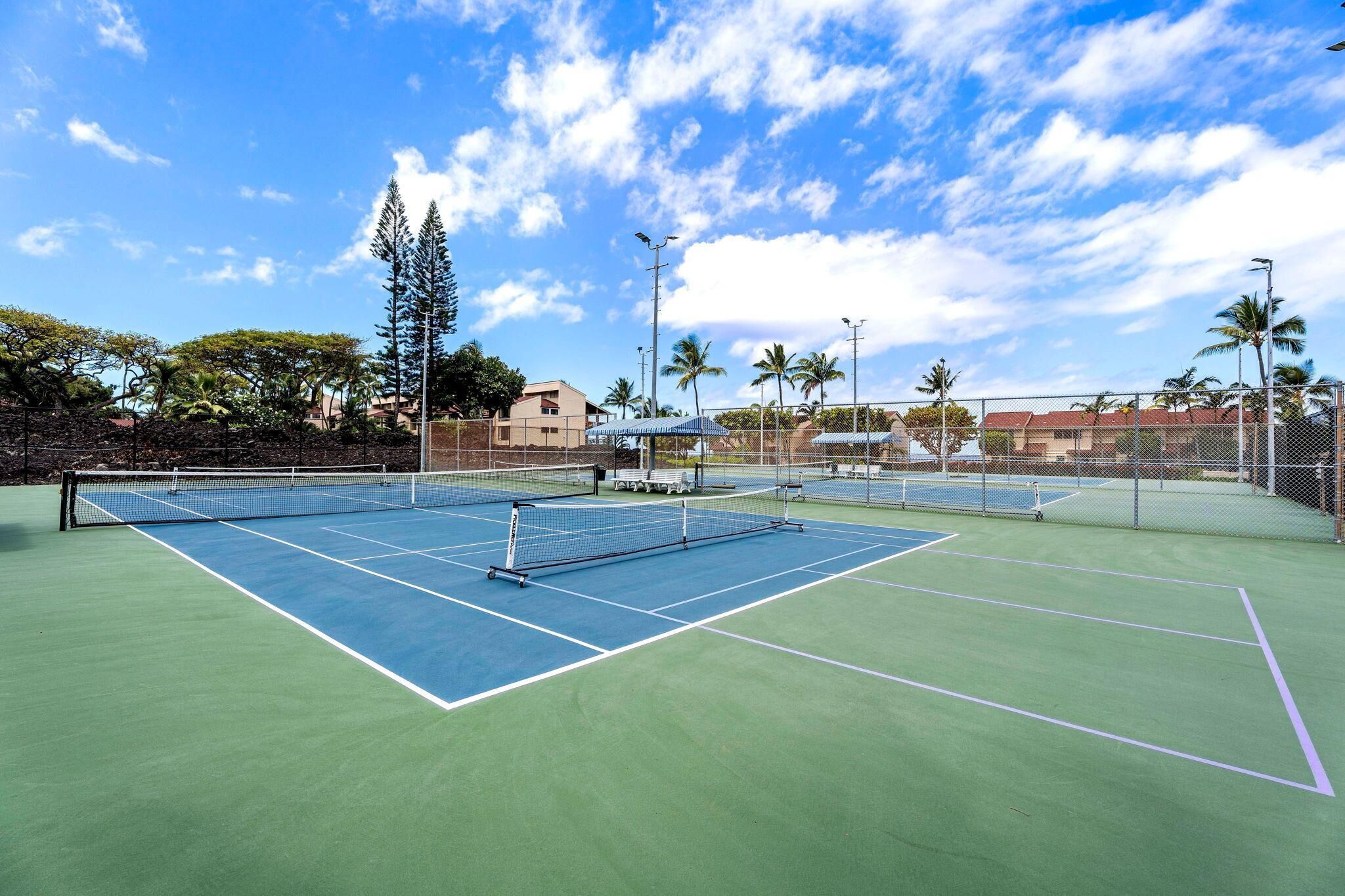Een tennisbaan met een net, omringd door een hek, palmbomen en gebouwen op de achtergrond.