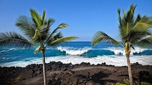 A rocky shoreline with two palm trees and the ocean in the background. - Keauhou Kona Surf & Racquet Club 3202 (Kailua-Kona)