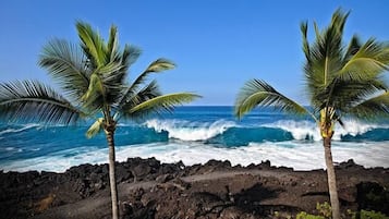 Condo, 1 Queen Bed (Keauhou Kona Surf & Racquet Club 3202) | Beach | On the beach