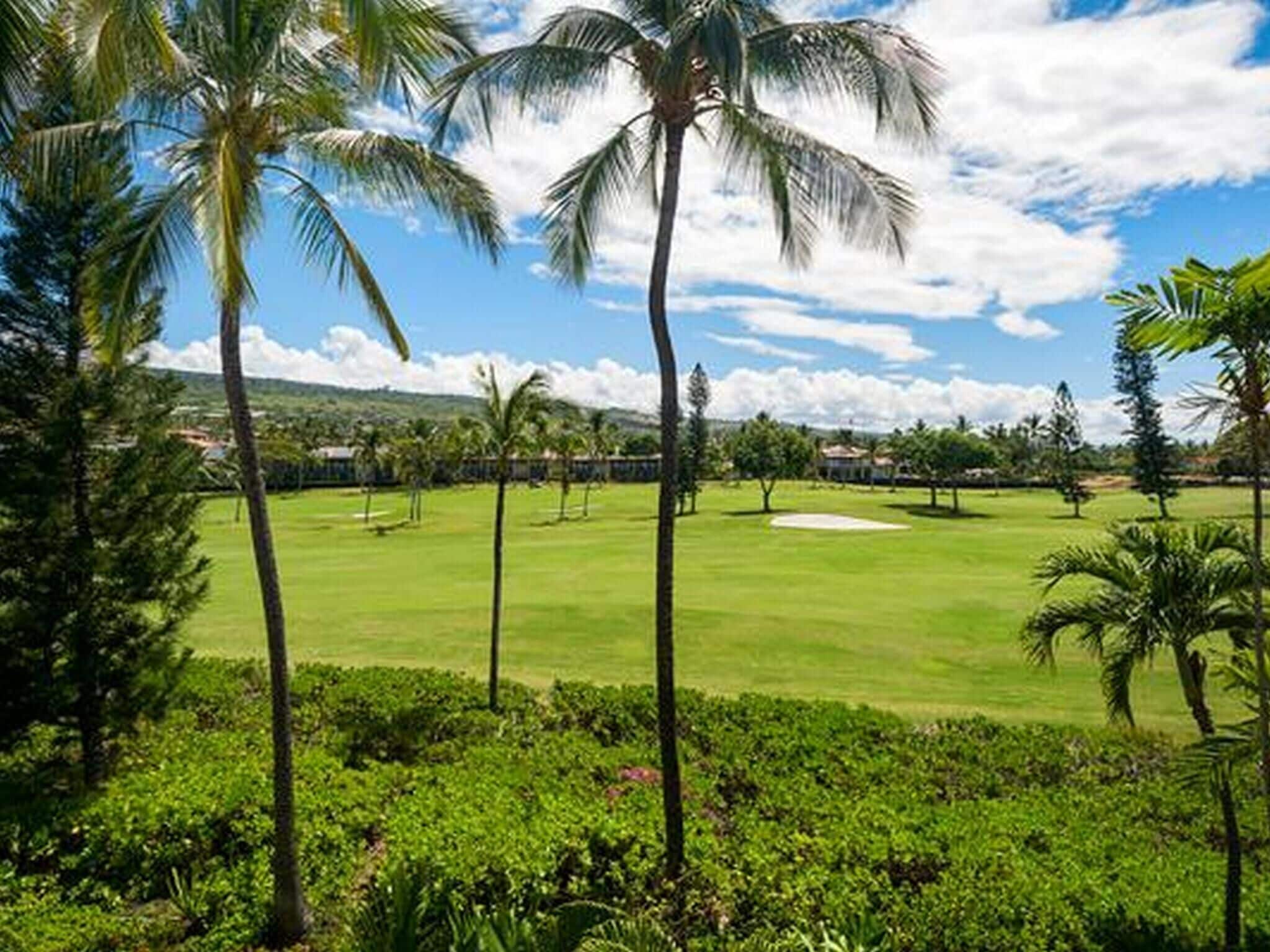 A golf course with a clear sky, palm trees, and a well-maintained lawn.