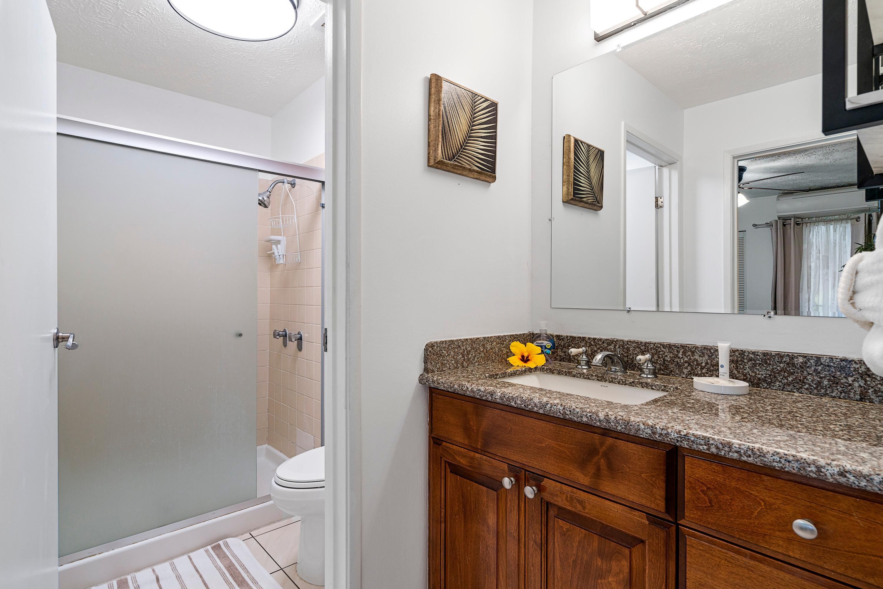 A bathroom with a shower, toilet, vanity with a sink, and a mirror.