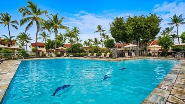 Une piscine à l’eau d’un bleu cristallin, entourée de palmiers et de chaises longues.
