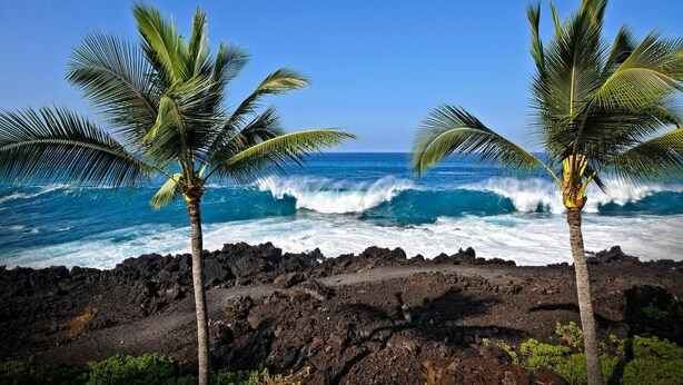 A rocky shoreline with two palm trees and waves crashing against the rocks.