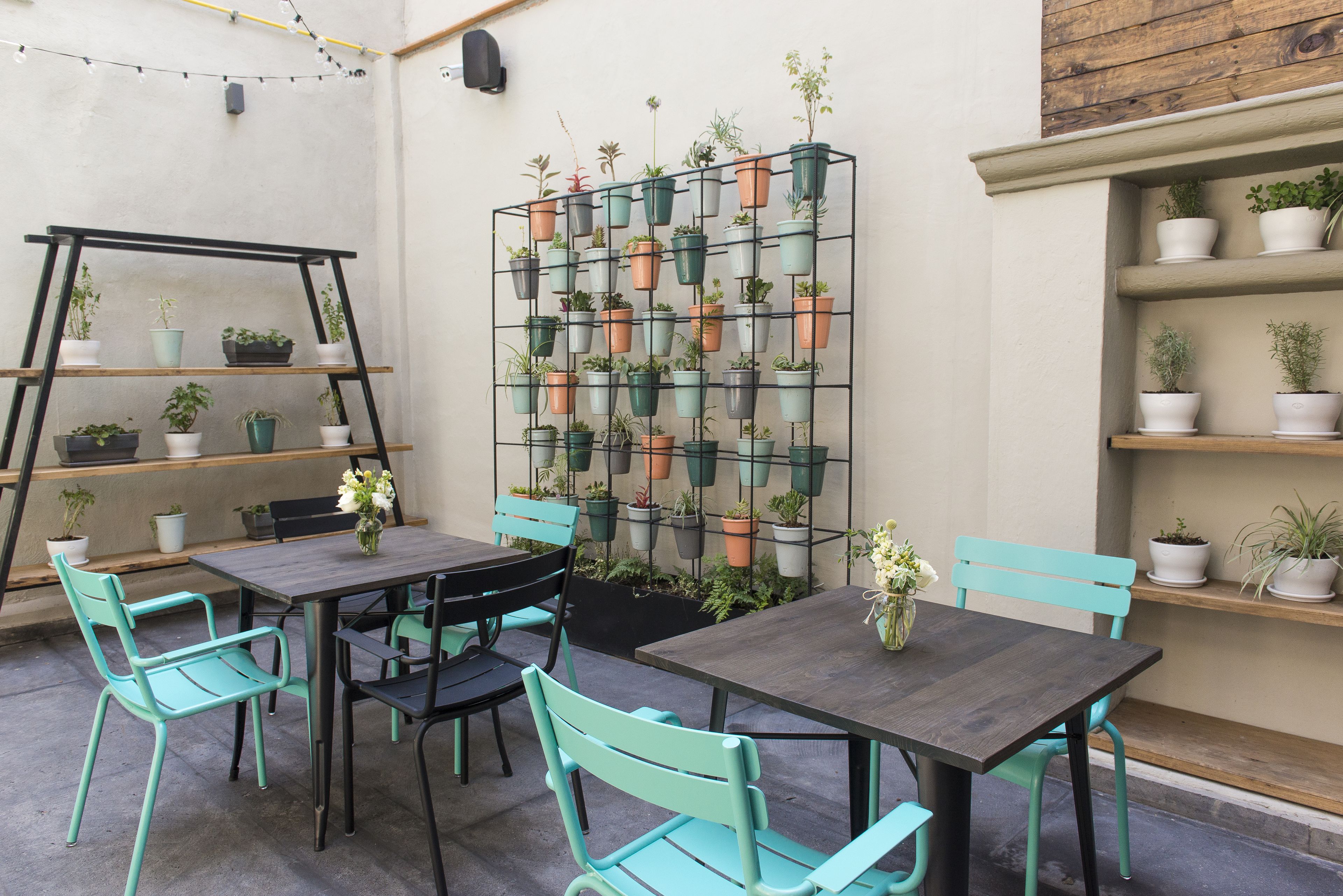 An outdoor patio area with a wooden table and chairs, a metal plant stand, and a variety of potted plants.