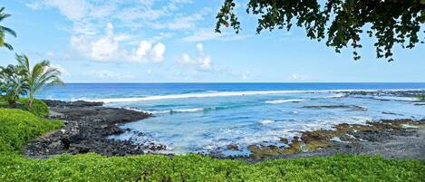 A coastal landscape with a rocky shoreline, green vegetation, and a clear blue sky.