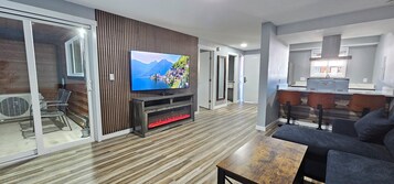 65-inch LED TV with satellite channels