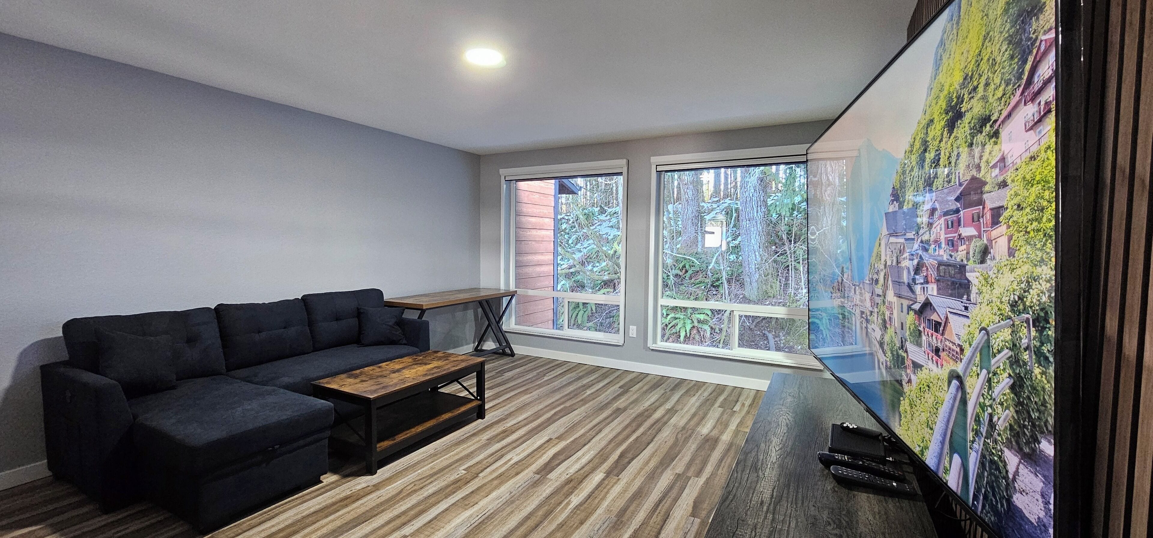 65-inch led tv with satellite channels