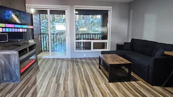 65-inch LED TV with satellite channels