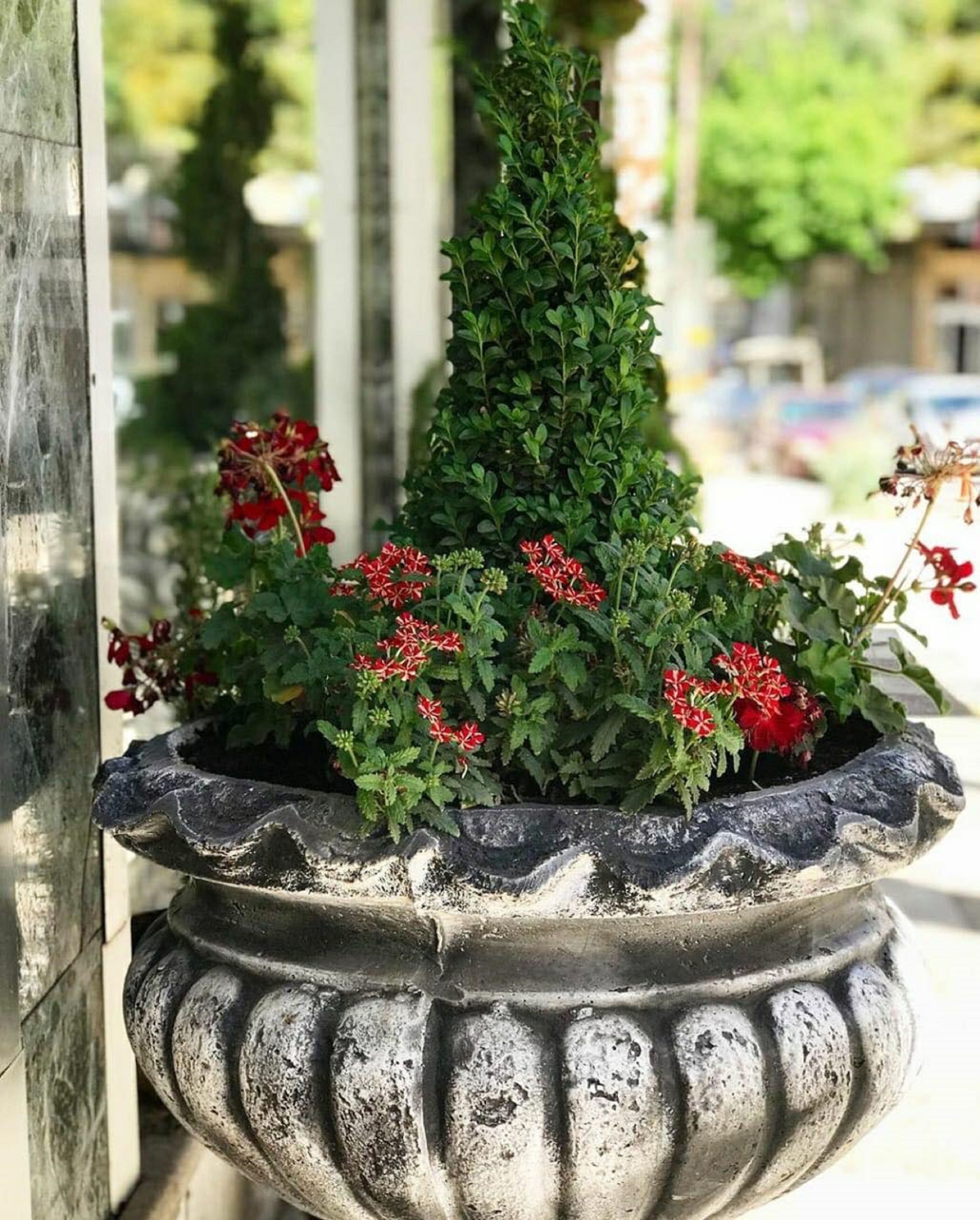 Foto - Arabesque Hotel