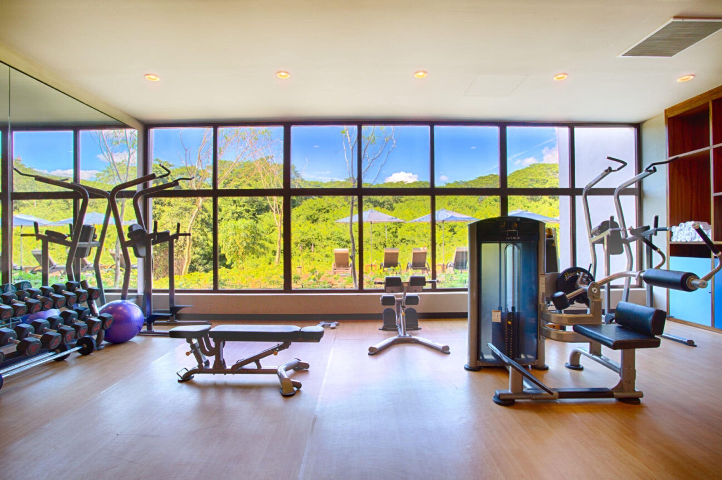 Ein Fitnessstudio mit Trainingsgeräten, großen Fenstern und Blick auf Grünflächen.