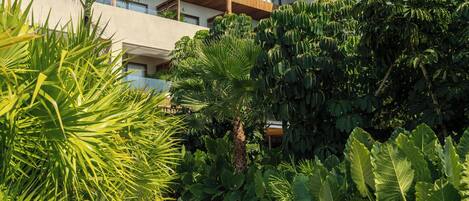 A pathway flanked by lush greenery and a large decorative vase, leading to a building with a wooden roof and multiple balconies.