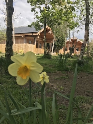 Cabaña | Áreas de la propiedad