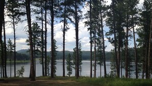 Uma área arborizada com altas pinhas e um lago ao fundo.