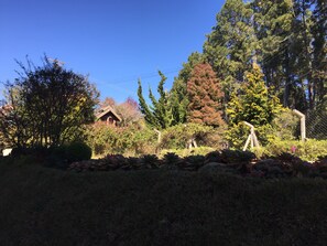 Property grounds - COZY AND ROMANTIC (Campos do Jordão)