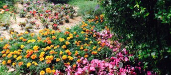 Romantisk, hyggelig, vidunderlig udsigt!