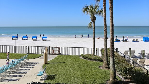 A beach with sun loungers, a fenced area, and palm trees. - Emerald Isle 104 Beachfront|Updates Galore|Amazing SUNSET Views| 2 Bdrms (N. Redington Beach)