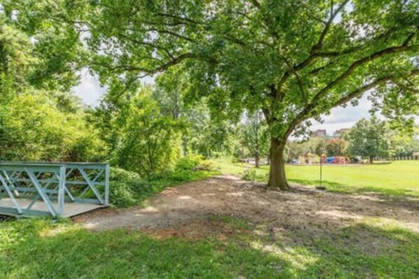 Un parco con un albero secolare, una recinzione in metallo e una zona verde.