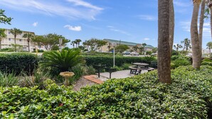 A landscaped outdoor area with palm trees, benches, and a gazebo. - Grand Caribbean East 111 * Fall Special Rates * Salt Water Vacations (Destin)