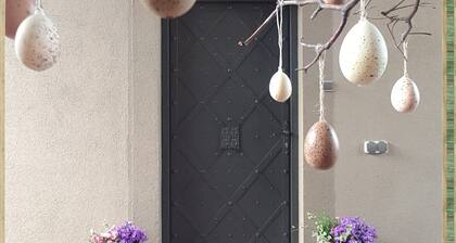 CINEMA STUDIO-YOUR HOME NEAR FRANKFURT AIRPORT