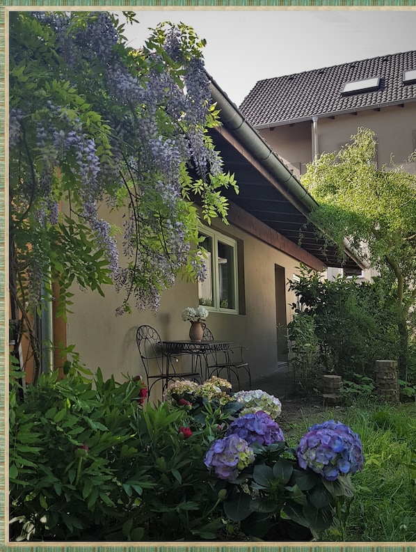 A garden with a table and chairs, surrounded by lush greenery and purple flowers.