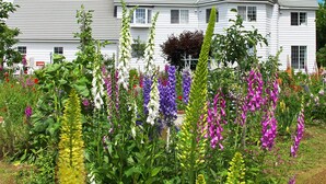 Une maison blanche, dotée d’un toit symétrique et d’une cheminée, entourée d’un jardin où poussent différentes sortes de fleurs.
