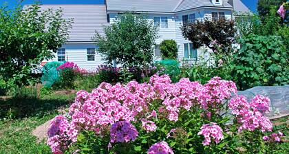 ¡Una pequeña posada tranquila con una sensación de villa de estilo occidental! !